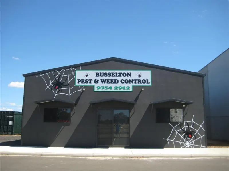 Busselton Pest and Weed Control building sign with spider web graphics