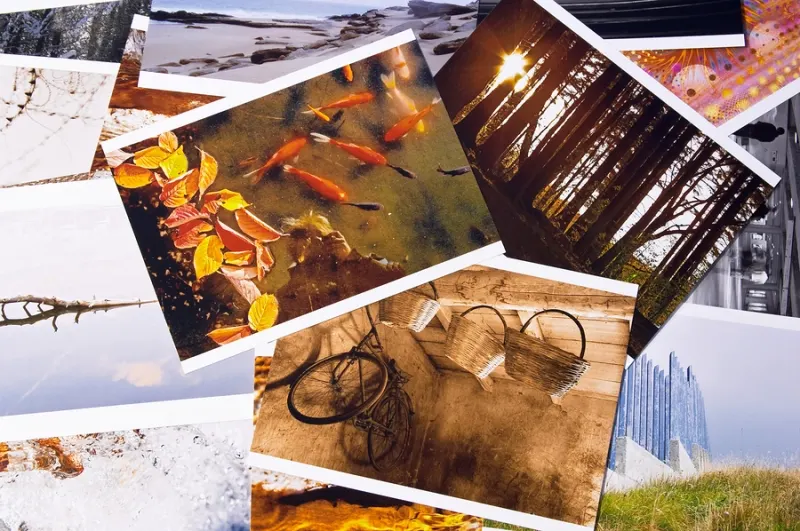 Collage of photographs printed as canvas and poster prints