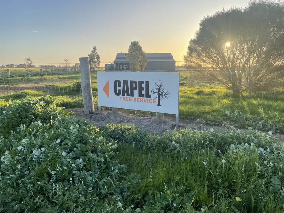 Capel Tree Service roadside sign at sunrise