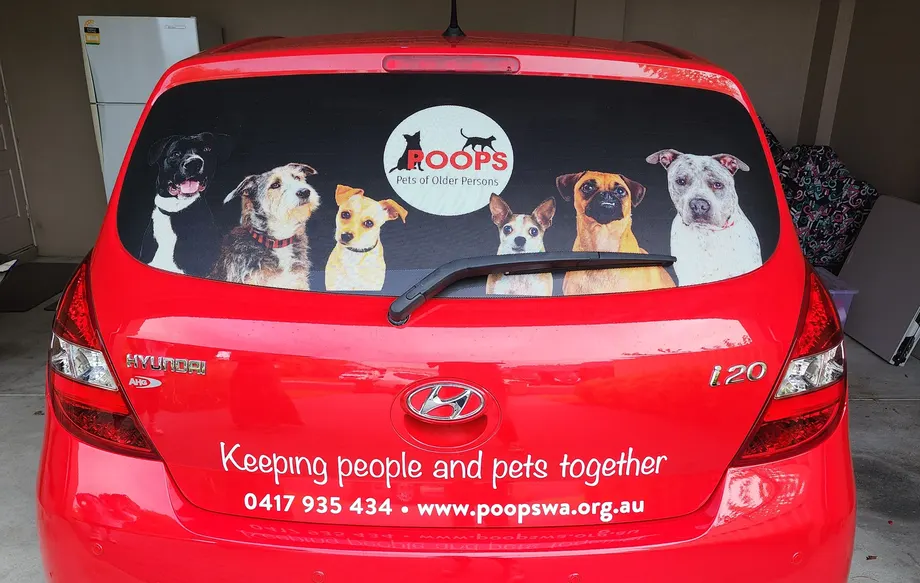POOPS rear window one way vision graphic with dog photos