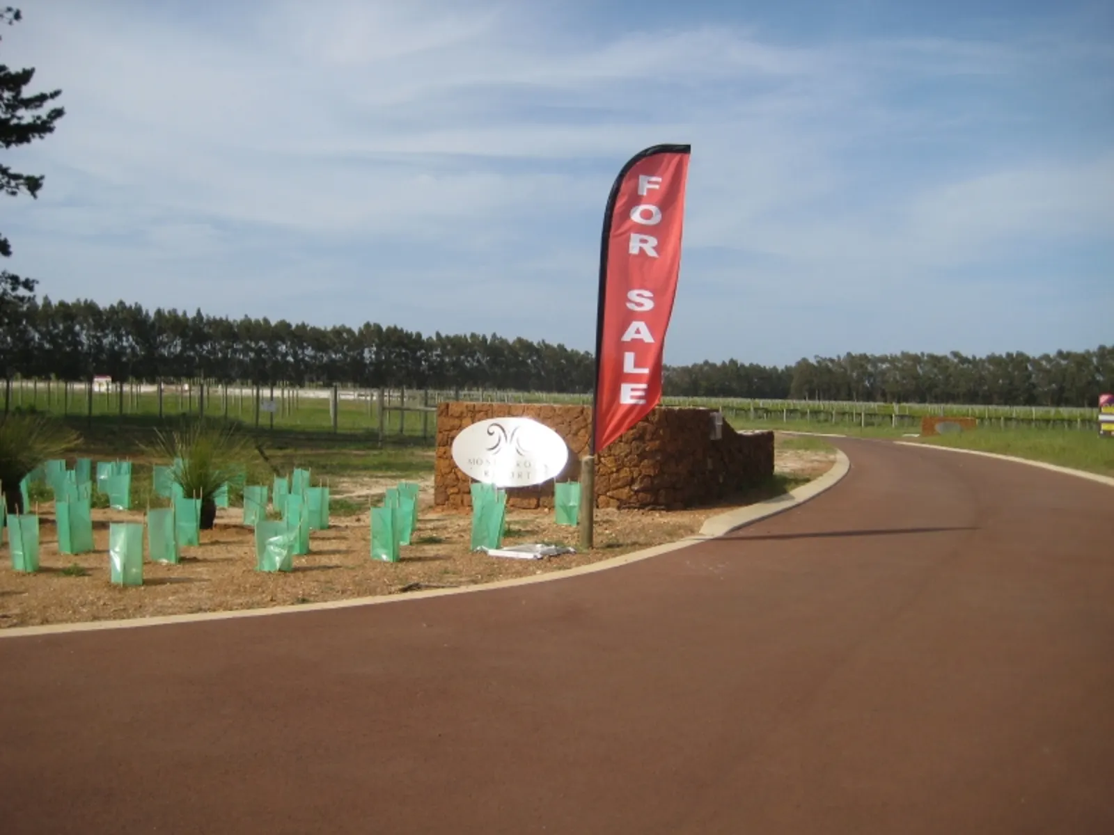 For Sale feather flag at a new estate entrance