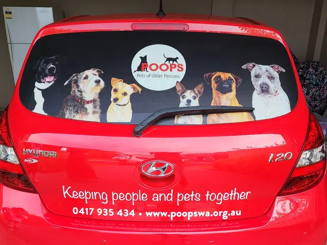 Rear window of a red car printed with one way vision graphics of dogs